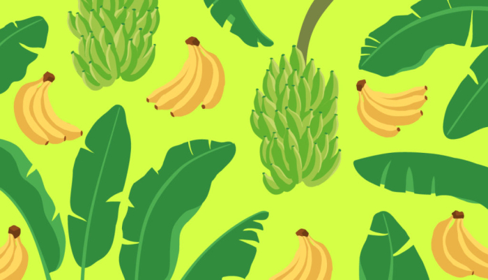 Fairtrade Fortnight - 27 February to 12 March 2023