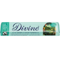 Divine Fairtrade Salted Caramel Milk Choc 30 x 35g