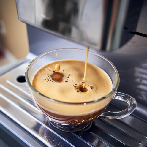 Bean To Cup Fresh Milk